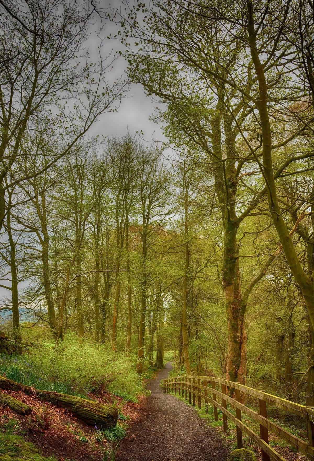 The%20Trossachs%20from%20West%20Highland%20Way